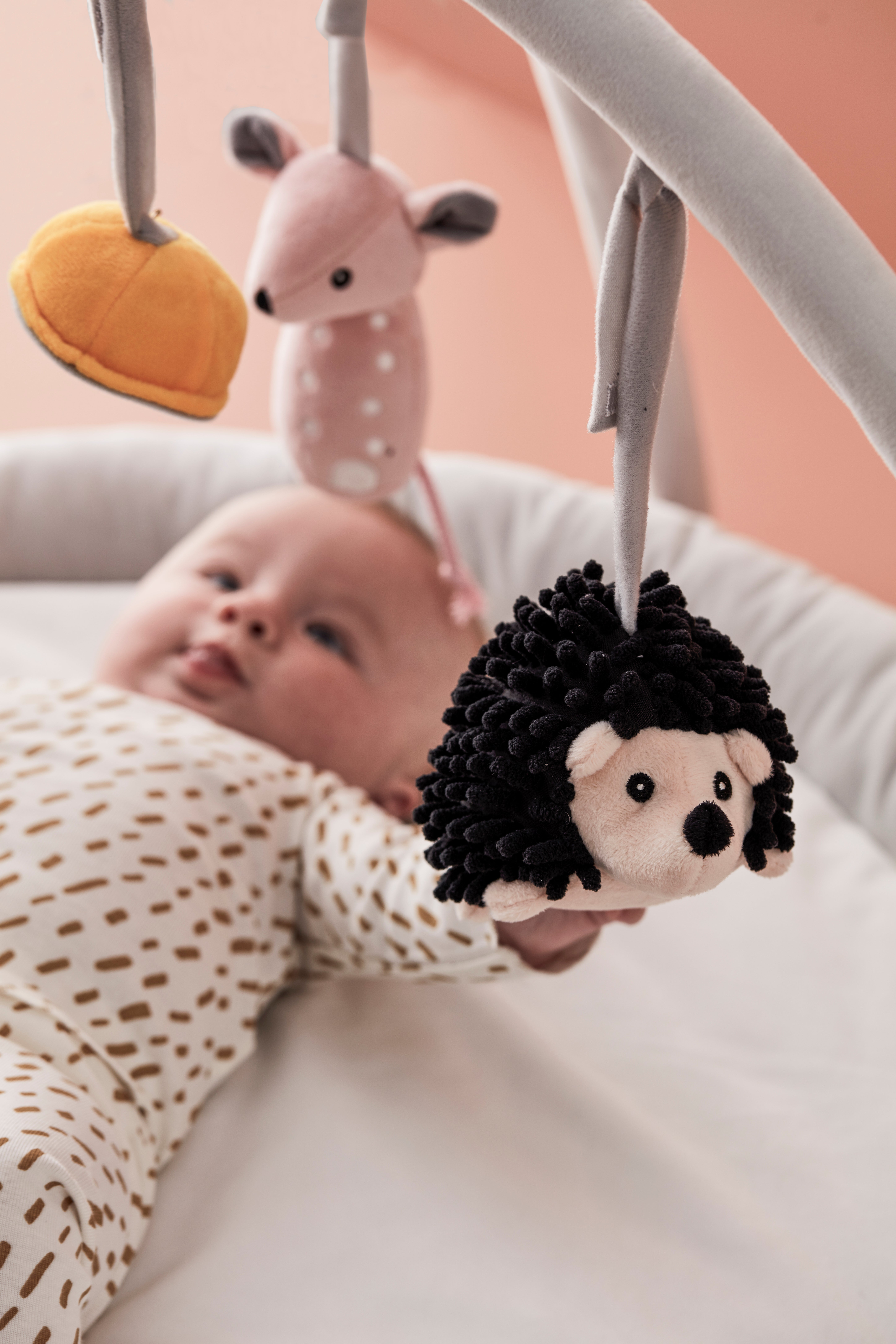 Babygym