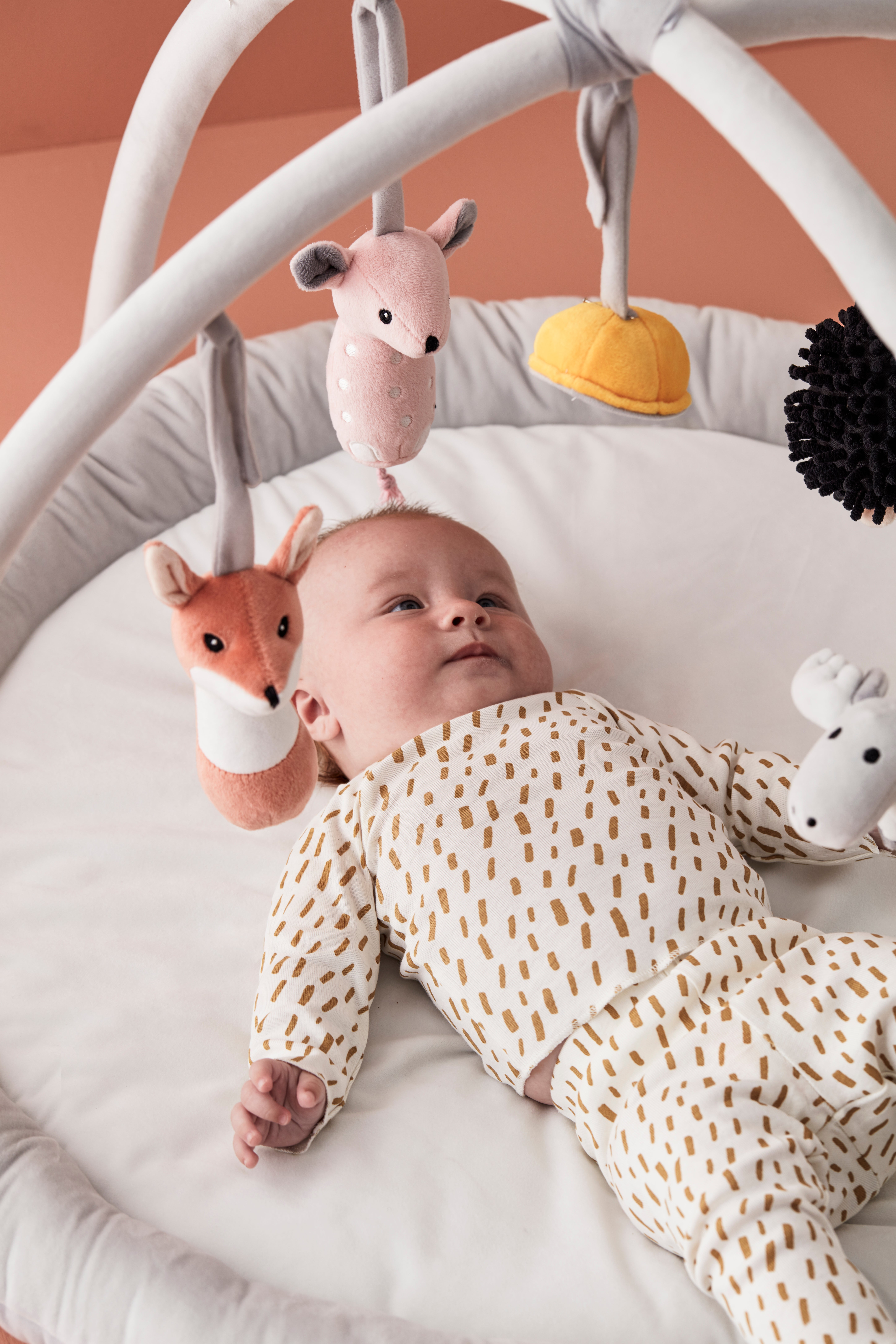 Babygym